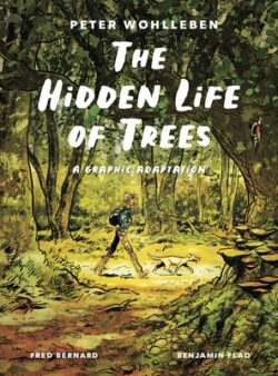 The Hidden Life of Trees: A Graphic Adaptation: (Of the International Bestseller)