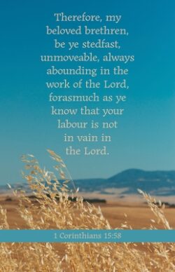 General Worship Bulletin: Be Ye Stedfast (Package of 100): 1 Corinthians 15:58 (Kjv)