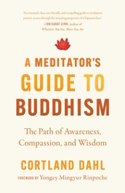 A Meditator's Guide to Buddhism: The Path of Awareness, Compassion, and Wisdom