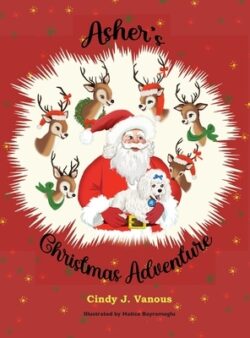 Asher's Christmas Adventure