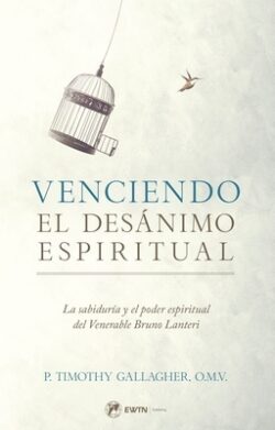 Venciendo El Desanimo Espiritual: La Sabidur?a Y El Poder Espiritual del Venerable Bruno Lanteri