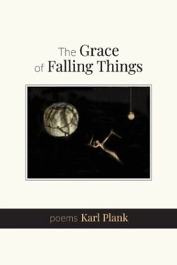 The Grace of Falling Things: poems