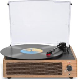 Vintage Vinyl Record Player w/Built-In Speakers (Brown)