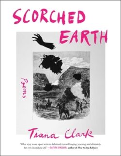 Scorched Earth: Poems