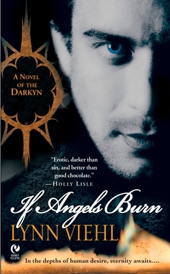 If Angels Burn: A Novel of the Darkyn