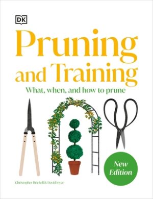 Pruning and Training: What, When, and How to Prune