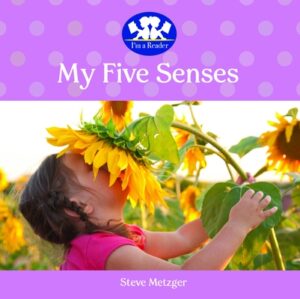 My Five Senses
