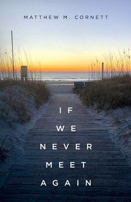 If We Never Meet Again