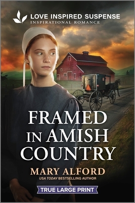 Framed in Amish Country