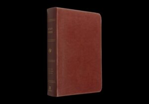 ESV Single Column Heritage Bible (Trutone, Chestnut)
