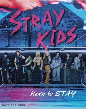 Stray Kids: Here to Stay