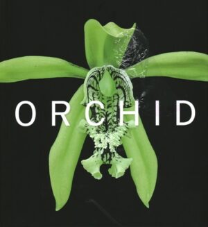 Orchid: Marie Selby Botanical Gardens