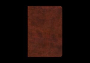 ESV Bible Promises: 700 Passages to Strengthen Your Faith (Trutone, Brown)