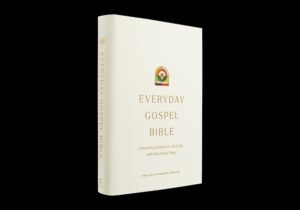 ESV Everyday Gospel Bible: Connecting Scripture to All of Life (Hardcover)