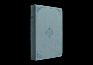 ESV Chronological Bible (Trutone, Paris Sky, Fleur-De-Lis Design)