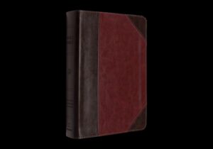 ESV Reader's Bible (Trutone, Brown/Cordovan, Portfolio Design)