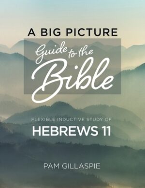 A Big Picture Guide to the Bible: Hebrews 11