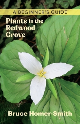 Plants in the Redwood Grove: A Beginner's Guide