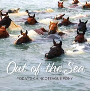 Out of the Sea: Today's Chincoteague Pony (2nd Edition)