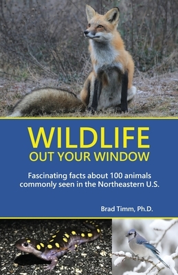 Wildlife Out Your Window: Fascinating Facts About 100 Animals Commonly Seen in the Northeastern U.S.