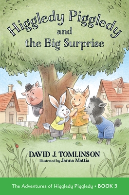 Higgledy Piggledy and the Big Surprise: The Adventures of Higgledy Piggledy Book 3 Volume 3