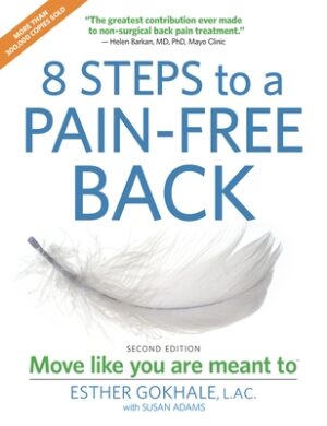 8 Steps to a Pain-Free Back: Natural Posture Solutions for Pain in the Back, Neck, Shoulder, Hip, Knee, and Foot (Second Edition)