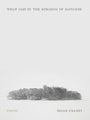 What God in the Kingdom of Bastards: Poems