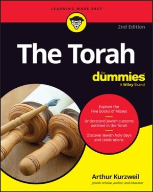 The Torah for Dummies