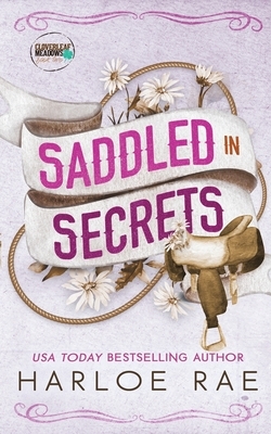 Saddled in Secrets: A protective bodyguard small town standalone romance