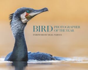 Bird Photographer of the Year: Collection 10