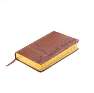 Biblia de Promesas Reina Valera 1960 / Tama?o Manual / Letra Grande / Piel Especial / Caf? // Spanish Promise Bible Rvr60 / Handy Size / Large Print /