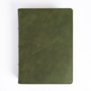 CSB She Reads Truth Bible, Holman Handcrafted Collection, Olive Premium Calfskin