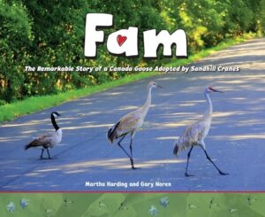 Fam: The Remarkable Story of a Canada Goose Adopted by Sandhill Cranes