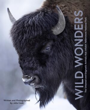 Wild Wonders: The Untamed and Enigmatic Animals That Inhabit Yellowstone National Park