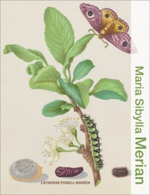 Maria Sibylla Merian