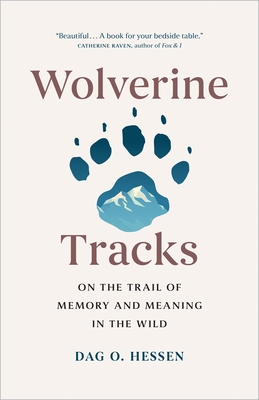 Wolverine Tracks: On the Trail of Memory and Meaning in the Wild