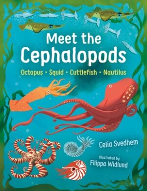 Meet the Cephalopods: Octopus, Squid, Cuttlefish, Nautilus