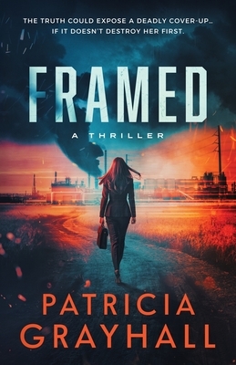 Framed: A Thriller