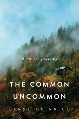 The Common Uncommon: A Forest Journey