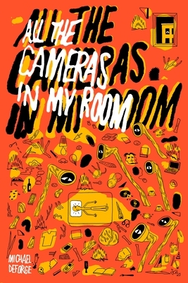 All the Cameras in My Room