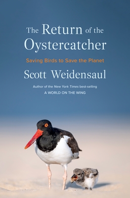 The Return of the Oystercatcher: Saving Birds to Save the Planet