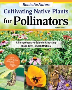Cultivating Native Plants for Pollinators: A Comprehensive Guide to Attracting Birds, Bees, and Butterflies