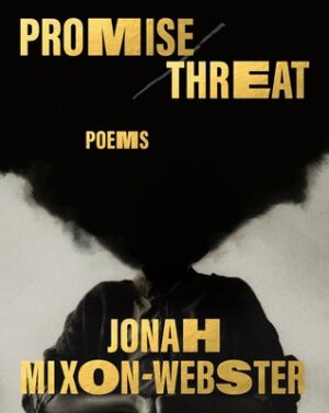 Promise/Threat: Poems