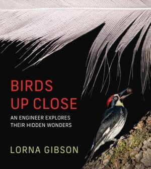 Birds Up Close: An Engineer Explores Their Hidden Wonders