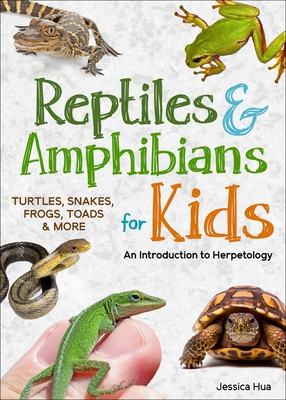 Reptiles & Amphibians for Kids: An Introduction to Herpetology