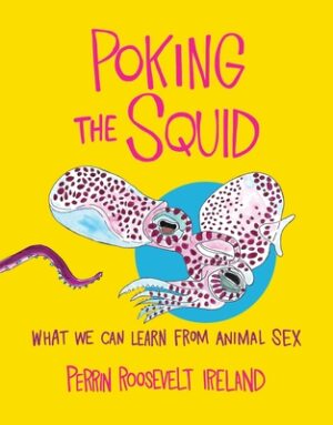 Poking the Squid: What We Can Learn from Animal Sex
