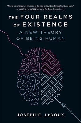The Four Realms of Existence: A New Theory of Being Human