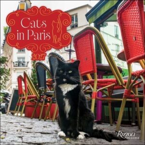 Cats in Paris 2027 Wall Calendar