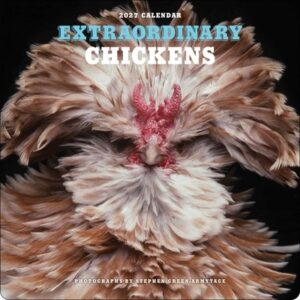 Extraordinary Chickens 2027 Wall Calendar