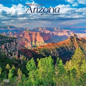 Arizona Wild & Scenic 2027 12 X 24 Inch (Hanging) Monthly Square Wall Calendar Plastic-Free